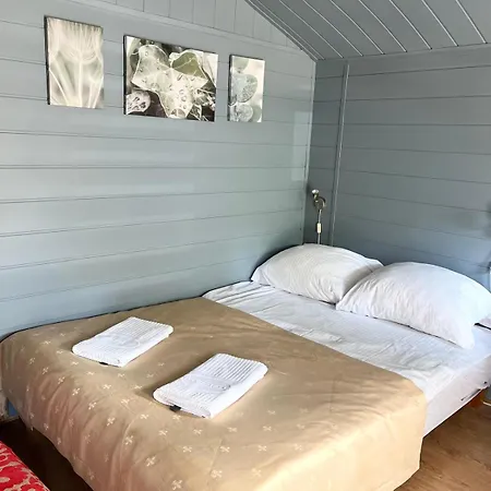 Letniskowe Ster Lodge