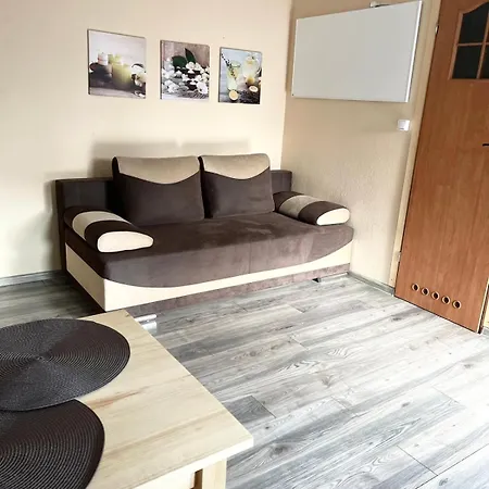 Letniskowe Ster Lodge