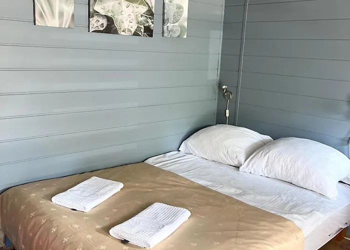 Letniskowe Ster Lodge