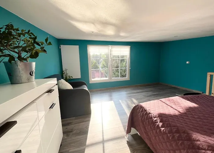 Lodge Letniskowe Ster *